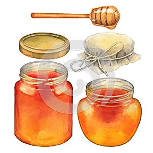 Watercolor set of isolated honey bottles, caps and dripper