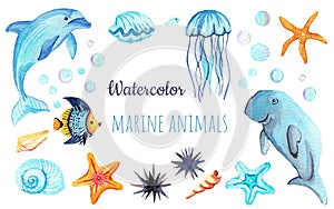 Watercolor set of isolated marine inhabitants