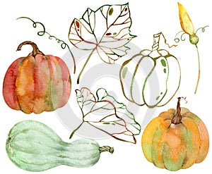 Watercolor set of isolated orange, green and red pumpkins. Thanksgiving collection of pumpkin harvest. Autumn set.