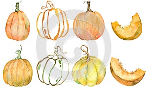 Watercolor set of isolated orange pumpkins. Thanksgiving collection of pumpkin harvest. Autumn set.