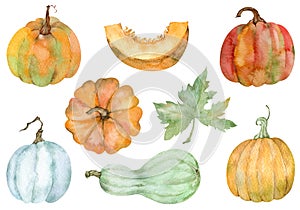 Watercolor set of isolated orange pumpkins. Thanksgiving collection of pumpkin harvest. Autumn set.