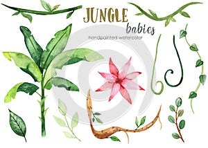 Watercolor set with jungle plants, palm, creepers, leaves, flowers photo