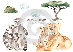 Watercolor set mom and baby Africa lions, lemurs, acacia, bush, clouds