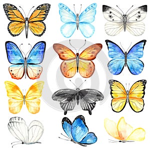 Watercolor set with multicolored butterflies. Hand painted clipart