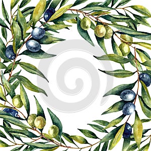 Watercolor set olives brunch and olives set