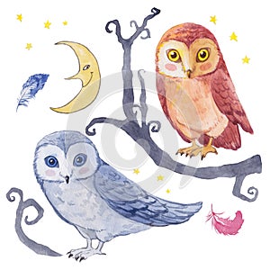 Watercolor set with owls, tree and Moon