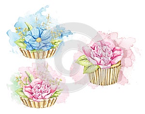 Watercolor set with pink and blue flowers in muffins on spot backdrop