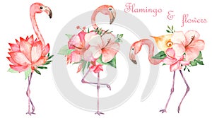 Watercolor set of pink flamingos and bouquet of flowers