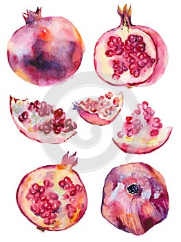 Watercolor set of pomegranates on white background.