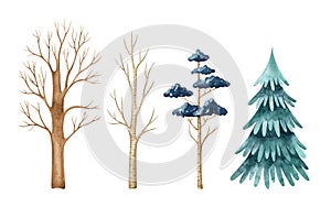 Watercolor set with stylized trees: fir-tree, pine, bare foliar trees