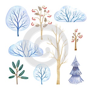 Watercolor set with stylized trees: pine, frosty trees and bushes, rowans, fir-tree