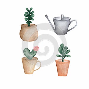 Watercolor set of succulent plants,cactus metal watering can, isolated watercolor illustration on white background.