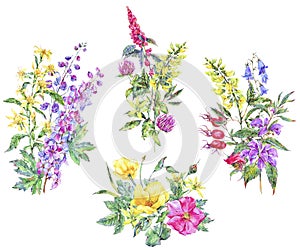 Watercolor set of summer medicinal bouquet