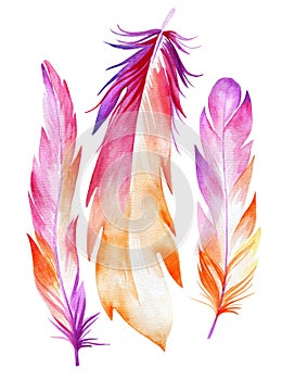 Watercolor set of three pink bird feathers