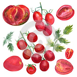 Watercolor set tomatoes