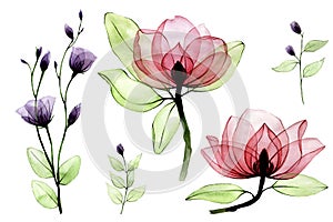 Watercolor set with transparent flowers. vintage hand drawing with pink wild roses and purple wildflowers on a white background. d