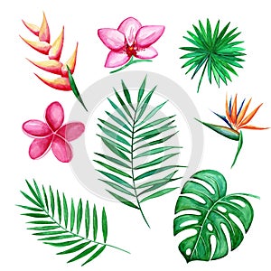 Watercolor set of Tropical leaves and flowers isolated elements on white background. Hand-drawn illustration