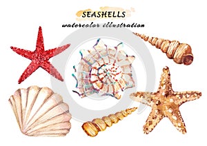Watercolor set of underwater life objects - various tropical seashells and starfish.