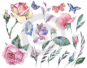 Watercolor set of  vintage garden rose bouquet greeting card, botanical floral illustration