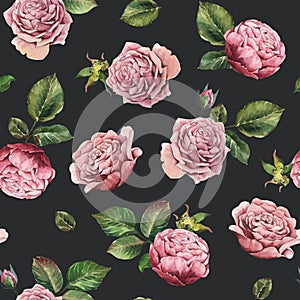 Watercolor shabby seamless pattern. Pink rose with leaves on dark background