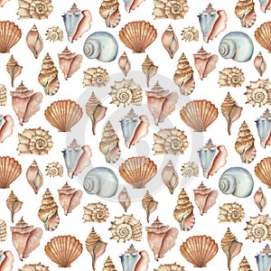 Watercolor shell seamless pattern