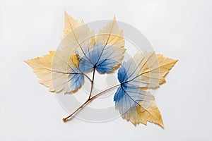 Watercolor Shiso Leaf Painting with Vibrant Colors