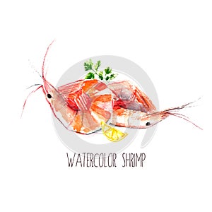 Watercolor shrimps. photo