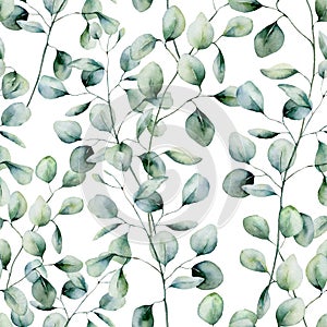 Watercolor silver dollar eucalyptus seamless pattern. Hand painted eucalyptus branch and leaves isolated on white