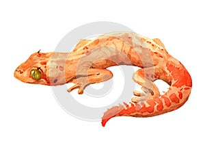 Watercolor single lizard animal isolated