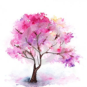 Watercolor single pink cherry sakura tree isolated