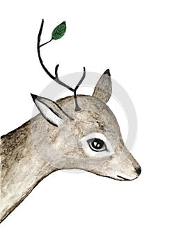 Watercolor sketch of beautiful reindeer with brawn antlers decorated with little green leaf.