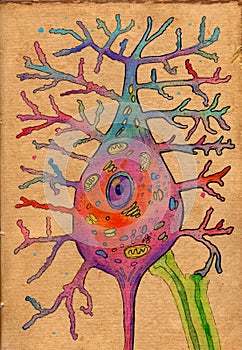 Watercolor sketch illustration on aged paper depicting motor neuron structure