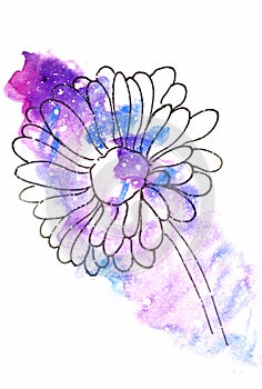 Watercolor sketch illustration, tattoo style: contour of a flower, gerbers on a background of pink and lilac cosmos-like