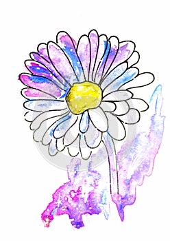 watercolor sketch illustration, tattoo style: contour of a flower, gerbers on background of pink and lilac cosmos-like spots with