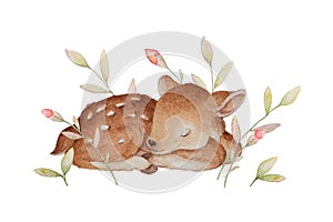 Watercolor Sleeping Baby Deer, Woodland Animals Clipart, Kids Room Prints, Baby Clipart