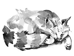 Watercolor sleeping cat