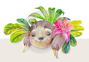 Watercolor sloth looking through the leaves. Handmade logo or decorative tropical composition with lazybones