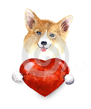 Watercolor small dog with heart. Pets illustration