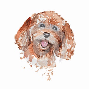 Watercolor smiling redhead poodle dog portrait