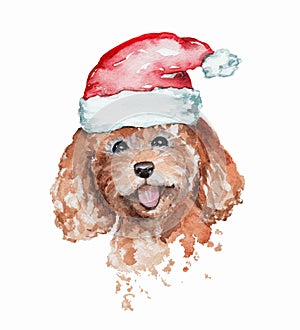 Watercolor smiling redhead poodle dog portrait in a red Santa`s cap