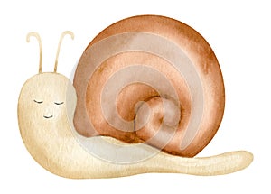 Watercolor Snail illustration. Hand drawn drawing of cute cartoon character on white isolated background for baby shower