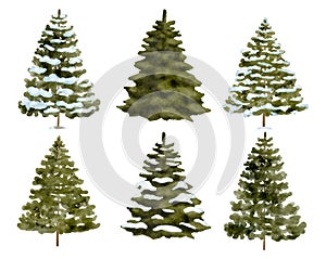 Watercolor snowy fir trees set. Hand painted Christmas tree with and without snow isolated on white background. Evergreen spruce