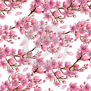 Watercolor spring blooming cherry tree branches seamless pattern