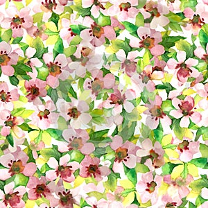 Watercolor spring floral seamless pattern of blossoming apple tree branches Blurred smeared washed transparent blooms Feminine