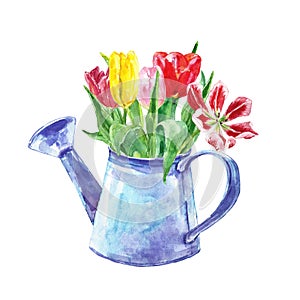 Watercolor spring floral bouquet in a vintage pot. Set of hand painted tulip flowers in a rustic watering can, isolated