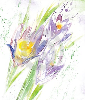 Watercolor spring flowers