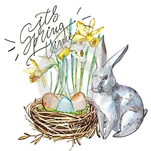 Watercolor Spring flowers with Rabbit, bird nest with eggs and lettering-it s Spring time. Hand painted nesting box