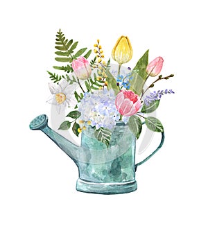 Watercolor spring flowers in a rustic watering can. Hand painted floral illustration. Seasonal holiday decor, Easter card