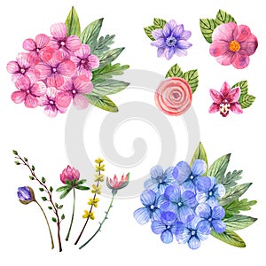 Watercolor Spring Fresh Flowers Cliparts