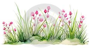 Watercolor spring grass and flowers isolated on white background. Watercolor illustration. Generative AI